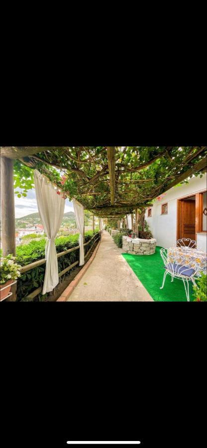 Guesthouse Coralba Casamicciola Terme Eksteriør billede