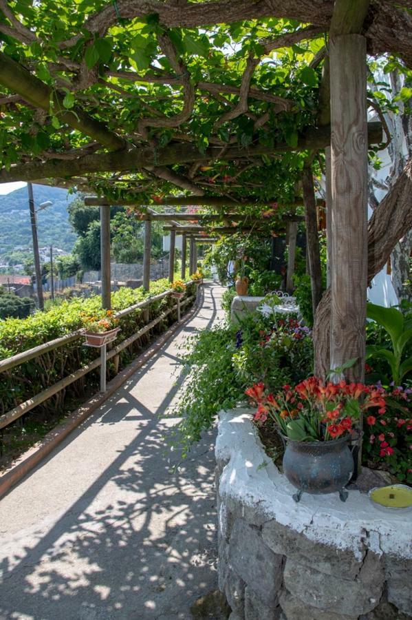 Guesthouse Coralba Casamicciola Terme Eksteriør billede