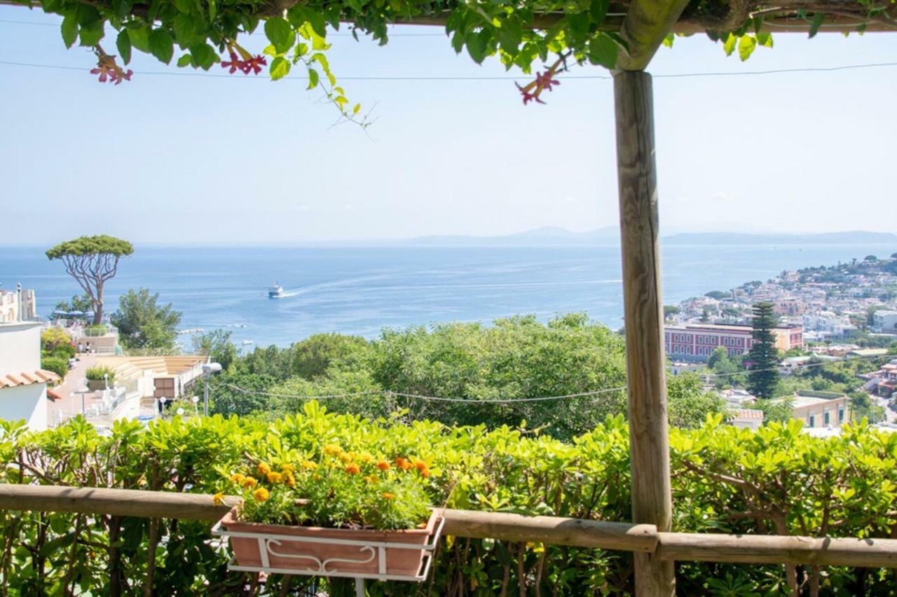 Guesthouse Coralba Casamicciola Terme Eksteriør billede